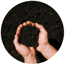 Description of the equipment shown in the image